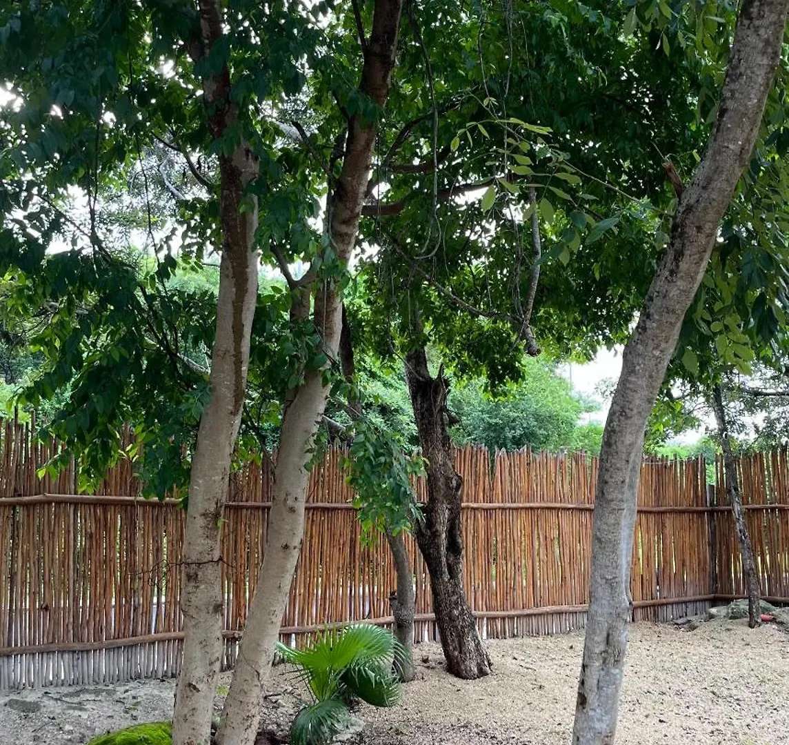 Casa Boa Apartments Mahahual